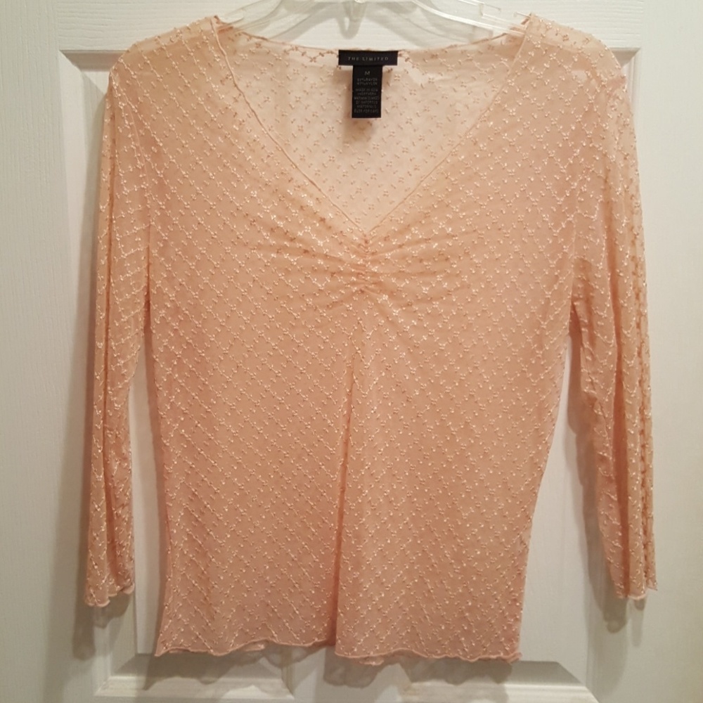 Limited Sheer Ballet Pink Embroidered Top